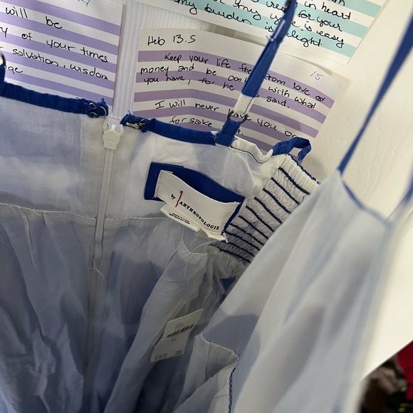 Anthropologie Blue and White Dress - Picture 5 of 6